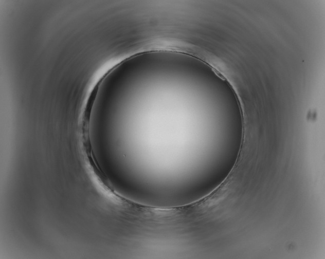 X0000091221152200708161651