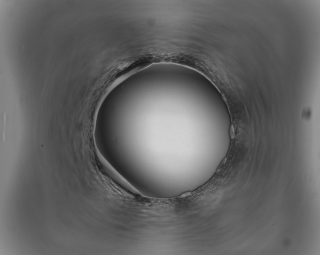 X0000091221153200708161650