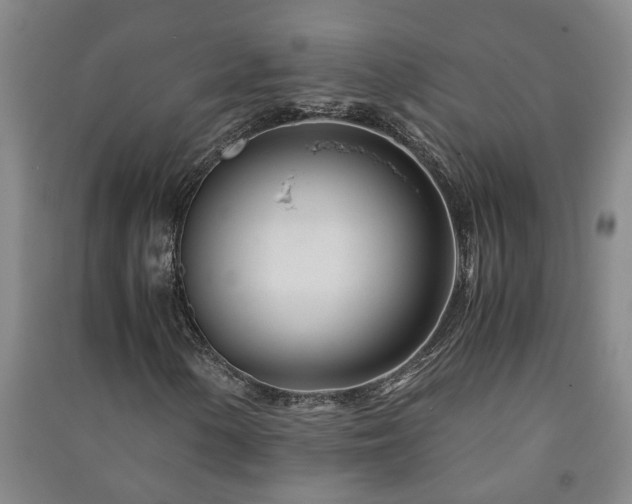 X0000091221154200708161650