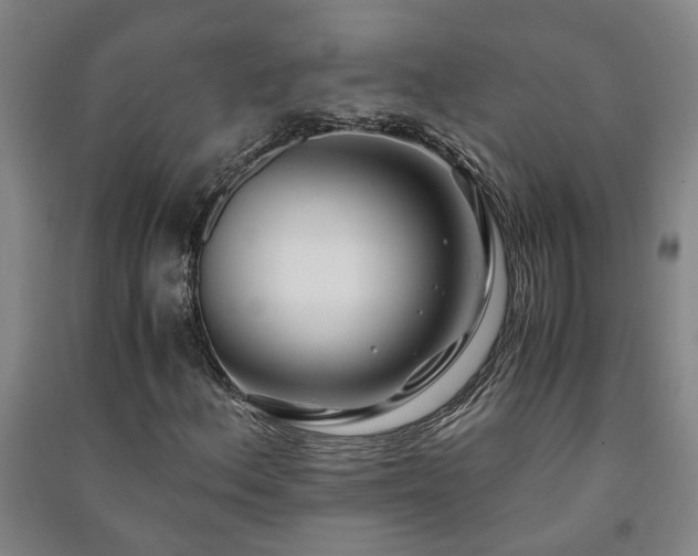 X0000091221156200708161650