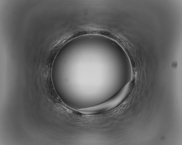 X0000091221157200708161650