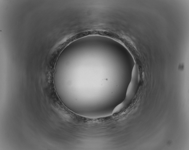 X0000091221159200708161650