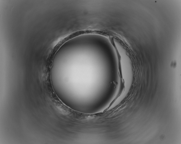 X0000091221160200708161650