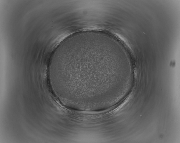 X0000091221161200708161650