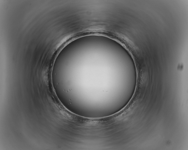 X0000091221162200708161650