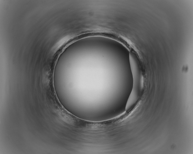 X0000091221163200708161650