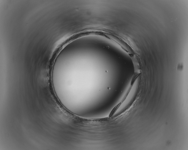 X0000091221164200708161650