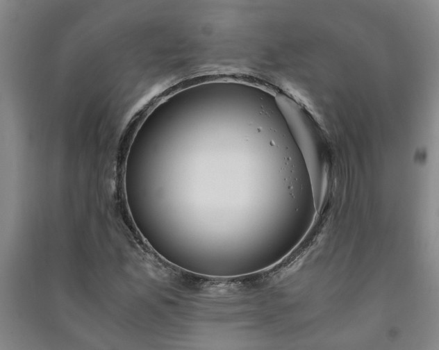 X0000091221165200708161650