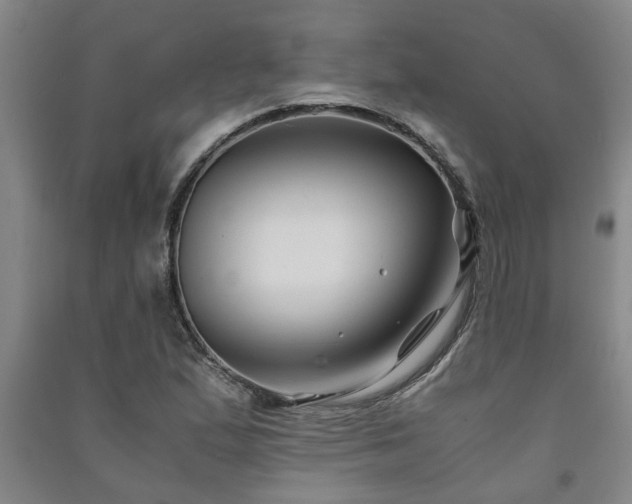 X0000091221167200708161650