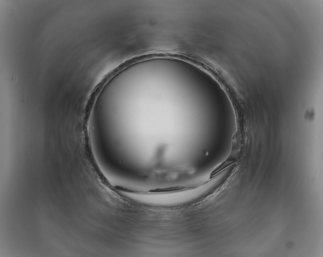 X0000091221168200708161650