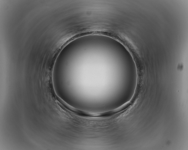 X0000091221169200708161650