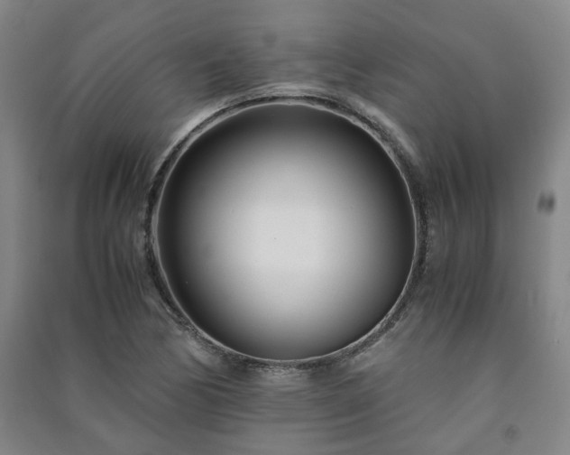 X0000091221170200708161650