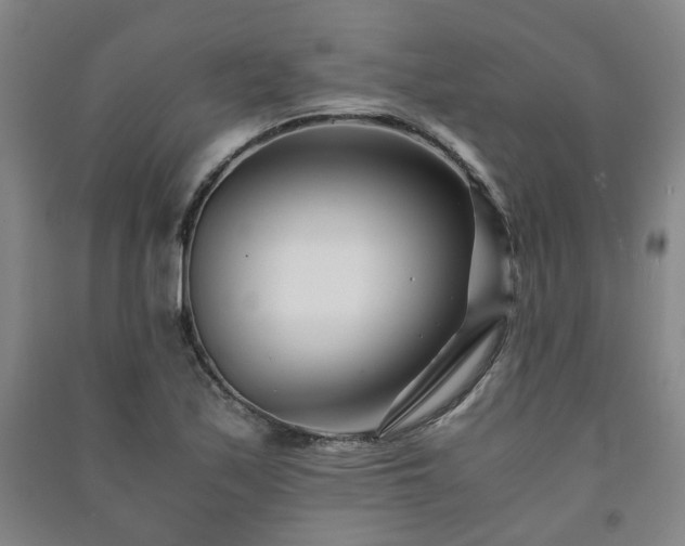 X0000091221171200708161650