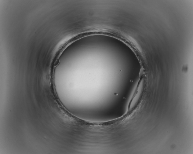 X0000091221172200708161650