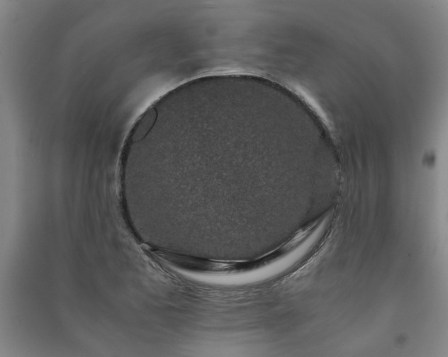 X0000091221173200708161650