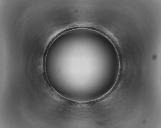 X0000091221174200708161650