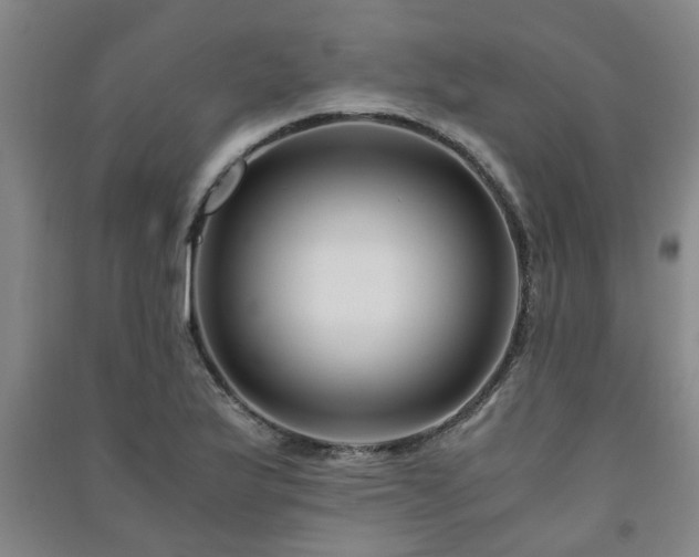 X0000091221175200708161650