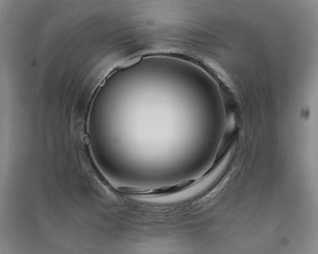 X0000091221177200708161650