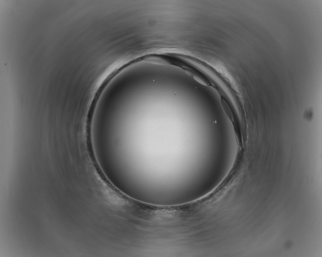 X0000091221181200708161650