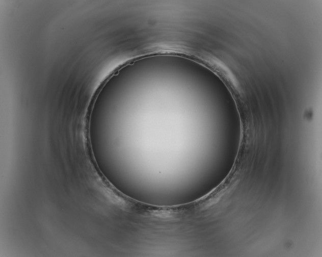 X0000091221182200708161650