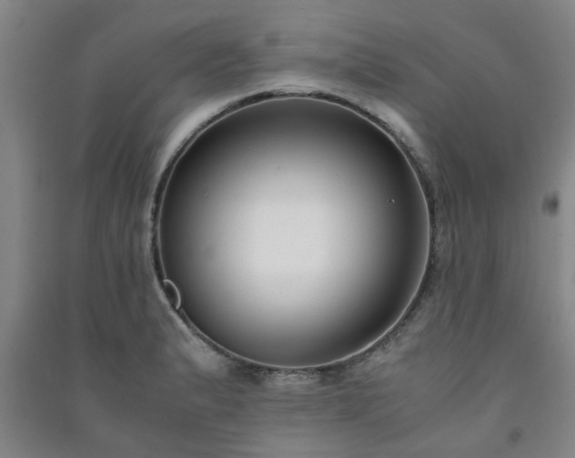 X0000091221183200708161650