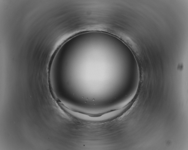 X0000091221184200708161650