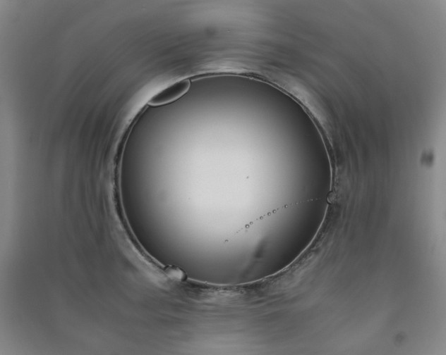 X0000091221187200708161650