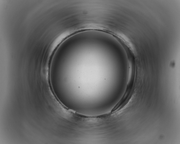 X0000091221188200708161650