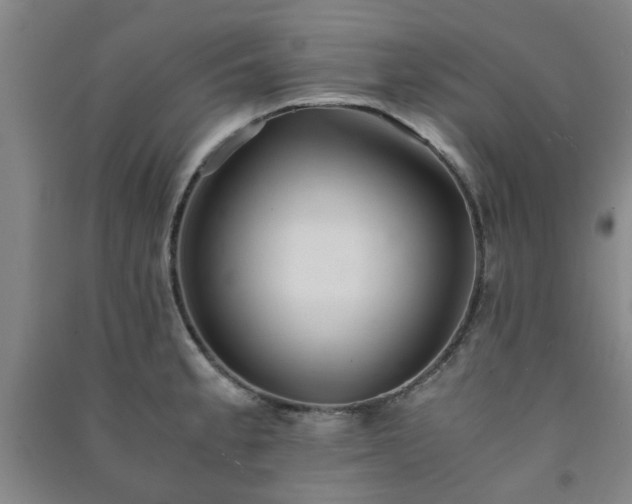 X0000091221189200708161650