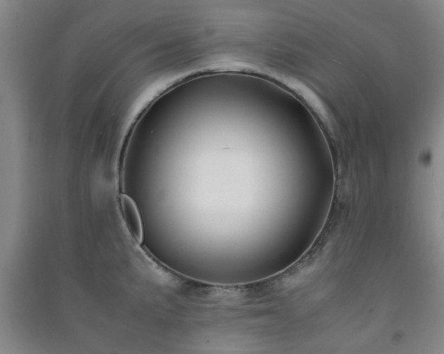 X0000091221191200708161650