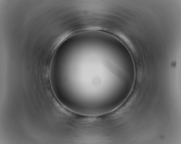 X0000091221193200708161650