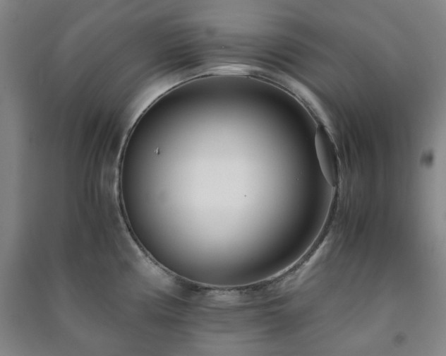 X0000091221194200708161650