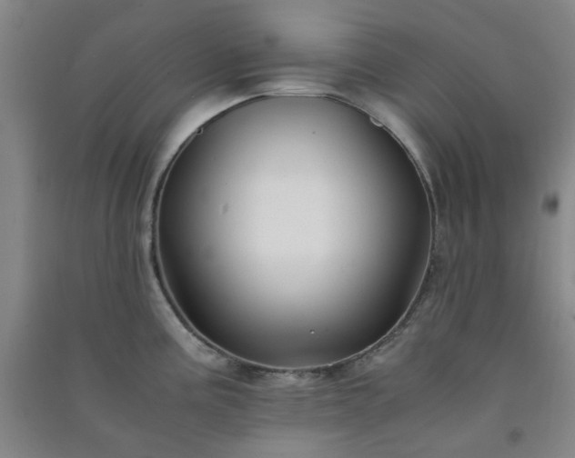 X0000091221195200708161650