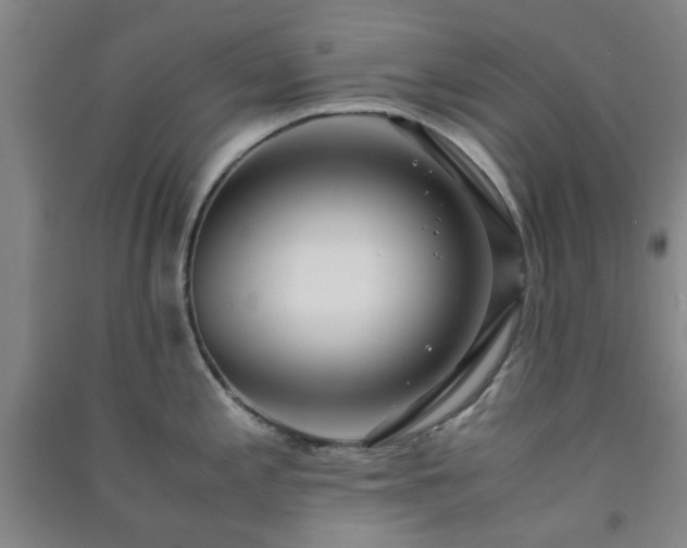 X0000091221197200708161650