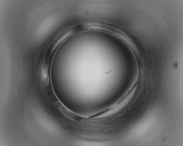 X0000091221198200708161650