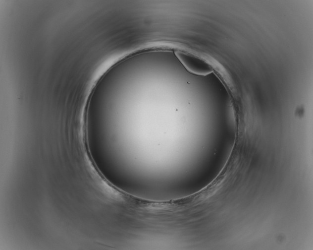 X0000091221199200708161650