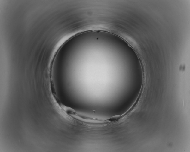 X0000091221200200708161650