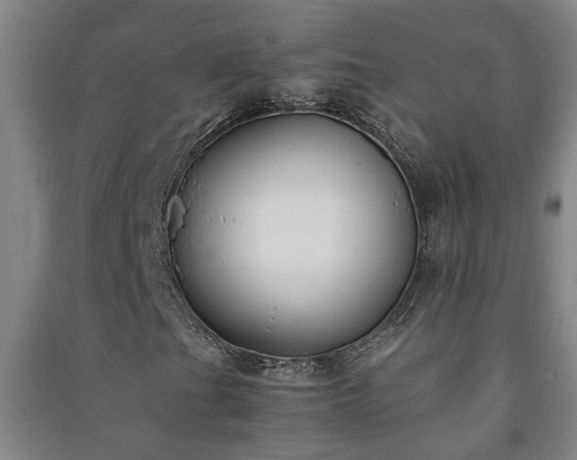 X0000091221201200708161649