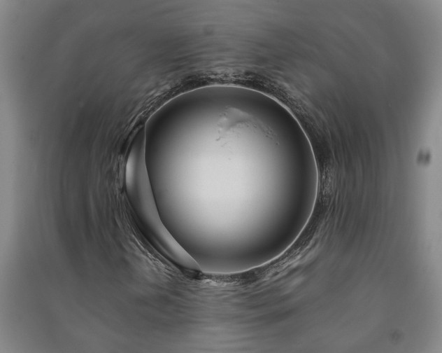 X0000091221202200708161649