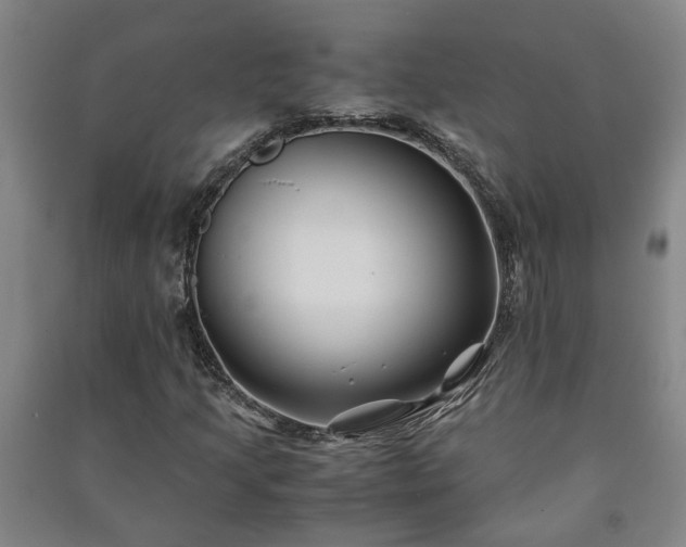 X0000091221205200708161649