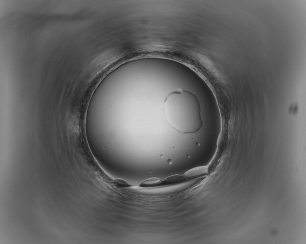 X0000091221209200708161649