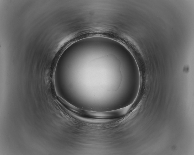 X0000091221210200708161649