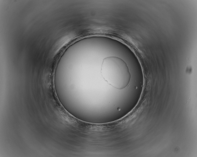 X0000091221211200708161649