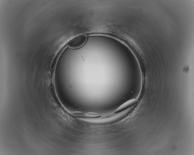 X0000091221212200708161649