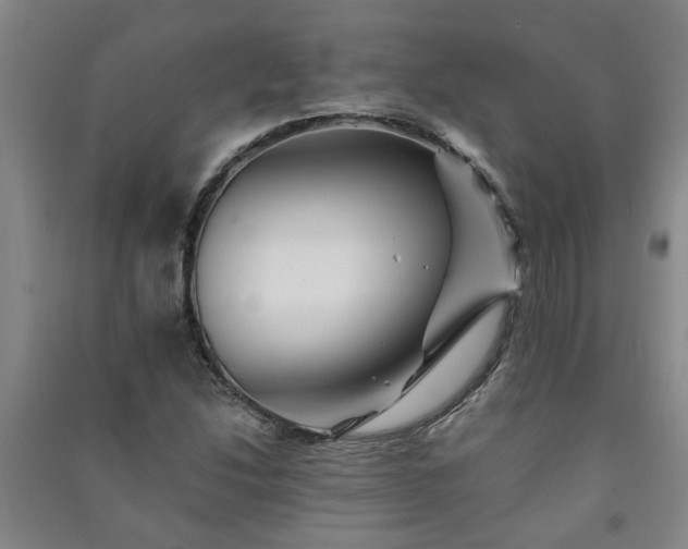 X0000091221214200708161649