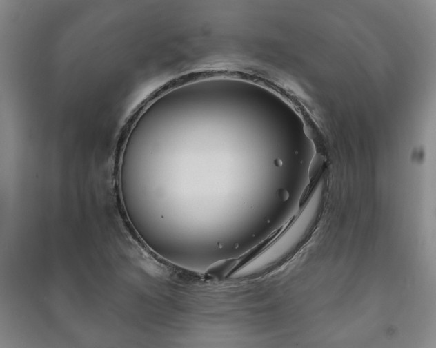 X0000091221216200708161649