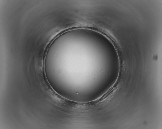 X0000091221220200708161649