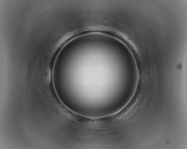 X0000091221221200708161649