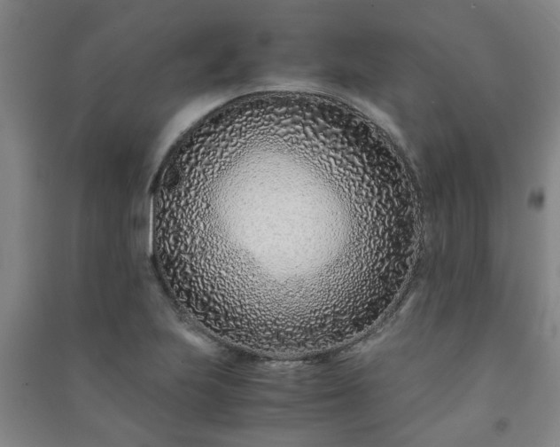 X0000091221223200708161649