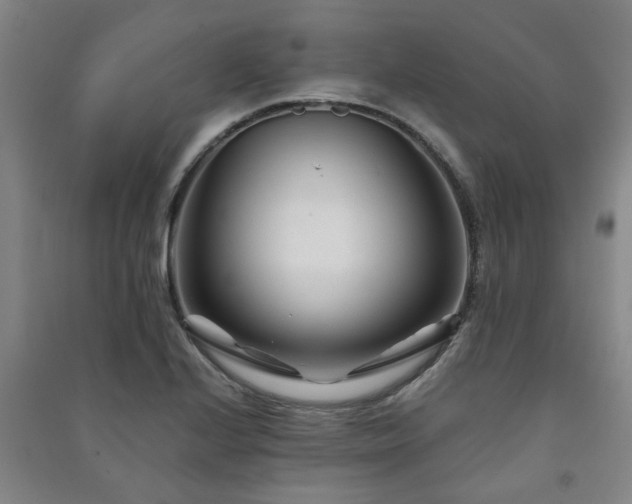 X0000091221224200708161650